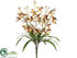 Silk Plants Direct Cymbidium Orchid Bush - Honey Burgundy - Pack of 12