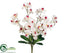 Silk Plants Direct Phalaenopsis Orchid Bush - Cream Beauty - Pack of 12