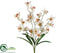 Silk Plants Direct Cymbidium Orchid Bush - Cream Beauty - Pack of 12