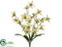 Silk Plants Direct Cymbidium Orchid Bush - Green Violet - Pack of 12