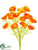 Poppy Bush - Orange - Pack of 6