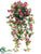 Mini Petunia Hanging Bush - Beauty Two Tone - Pack of 12