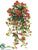 Mini Petunia Hanging Bush - Orange Two Tone - Pack of 12