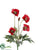 Poppy Bush - Red - Pack of 6