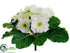 Silk Plants Direct Primula Bush - Cream - Pack of 24