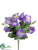 Petunia Bush - Purple - Pack of 12