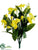 Petunia Bush - Orange Yellow - Pack of 6