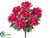 Peony Bush - Pink - Pack of 12