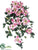Petunia Hanging Bush - Pink Cerise - Pack of 6