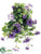 Petunia Hanging Bush - Purple Two Tone - Pack of 6