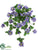Petunia Hanging Bush - Lavender - Pack of 12