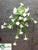 Petunia Hanging Bush - White - Pack of 12