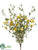 Wild Petunia Bush - Yellow - Pack of 6