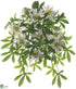 Silk Plants Direct Outdoor Passion Flower Bush - Cream - Pack of 6