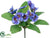 Pansy Bush - Blue - Pack of 36