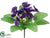 Pansy Bush - Purple - Pack of 36