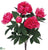 Peony Bush - Cerise - Pack of 12