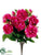 Peony Bush - Orchid - Pack of 6