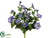 Petunia Bush - Blue Helio - Pack of 12