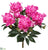 Garden Peony Bush - Orchid - Pack of 6