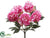 Peony Bush - Pink - Pack of 6