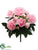 Peony Bush - Pink - Pack of 12