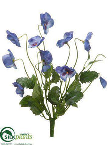 Pansy Bush - Blue - Pack of 12
