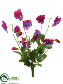 Pansy Bush - Purple - Pack of 12