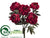 Peony Bush - Burgundy Wine - Pack of 6