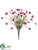 Poppy Bush - Beauty Pink - Pack of 6