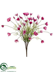 Poppy Bush - Beauty Pink - Pack of 6