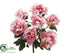 Silk Plants Direct Peony Bush - Pink Cream - Pack of 6