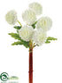 Silk Plants Direct Pompon Bundle - Cream - Pack of 12