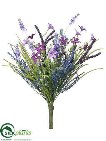 fern lavender plants Lavender, Fern Bouquet - Lavender Purple - Pack of 12 - (CUP/VL-100QBFS)