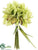 Cymbidium Orchid Bouquet - Green Burgundy - Pack of 12