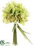 Silk Plants Direct Cymbidium Orchid Bouquet - Green Burgundy - Pack of 12