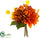 Dahlia, Berry Bouquet - Terra Cotta Mustard - Pack of 12