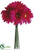 Gerbera Daisy Bouquet - Beauty Red - Pack of 12