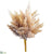 Pampas Grass Bundle - Beige - Pack of 12