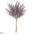 Astilbe Bundle - Lavender Gray - Pack of 12