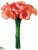 Calla Lily Bouquet - Coral - Pack of 6