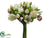 Tulip Bouquet - Peach Cream - Pack of 4