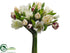 Silk Plants Direct Tulip Bouquet - Peach Cream - Pack of 4