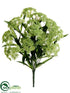 Silk Plants Direct Queen Anne's Lace Bush - Green - Pack of 6