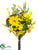 Morning Glory, Rudbeckia Bouquet - Yellow - Pack of 6