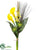 Dendrobium Orchid, Calla Lily, Protea Bundle - Yellow Green - Pack of 6