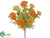 Queen Anne's Lace Bush - Orange Yellow - Pack of 12