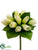 Tulip Bouquet - Cream Green - Pack of 12