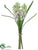 Muscari Bundle - White - Pack of 12