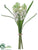 Muscari Bundle - White - Pack of 12